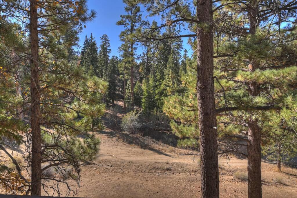 Everwood Serenity Treehouse Ontrail Head/Sledding Villa Big Bear Lake Exterior photo