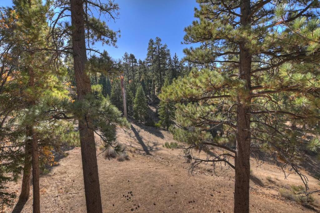 Everwood Serenity Treehouse Ontrail Head/Sledding Villa Big Bear Lake Exterior photo